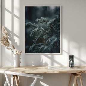 Winter Impressions No 1 Poster