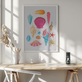 Seashells Poster