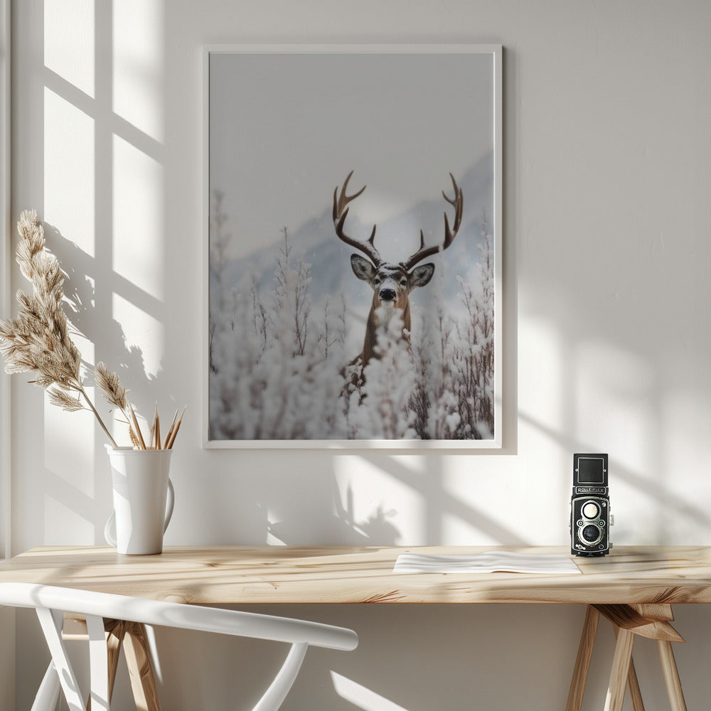 Curious Deer Poster