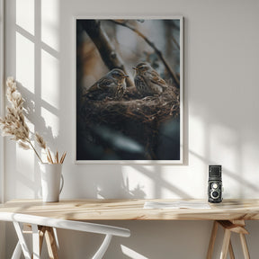 Birds In Nest No 2 Poster