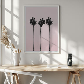 Pinky Palms Poster