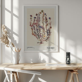 Watercolor print collection. Flower market - Madrid Poster