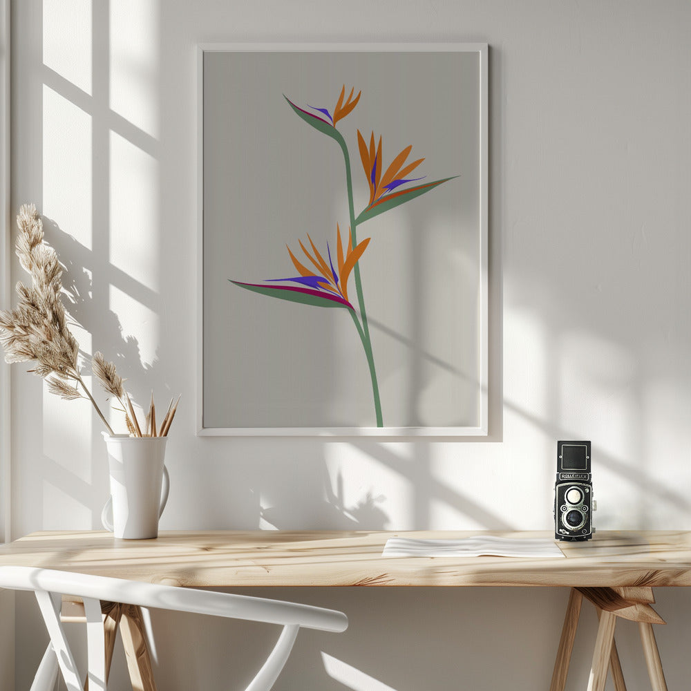 Bird of paradise Poster