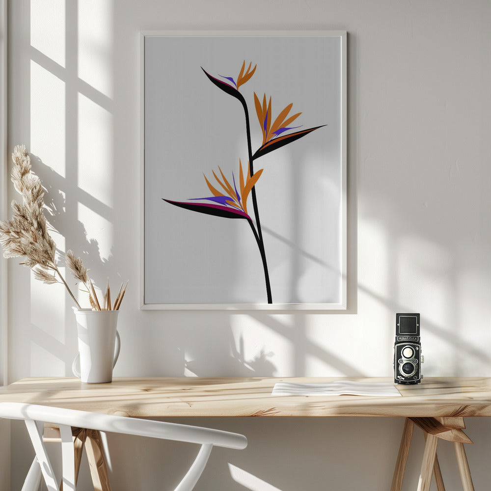 Bird of paradise in black Poster