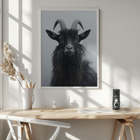 Mountain Goat Poster