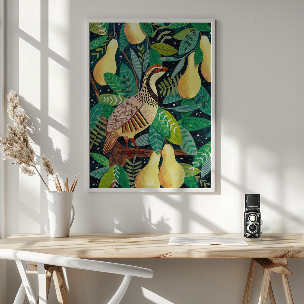 Partridge in a pear tree Poster