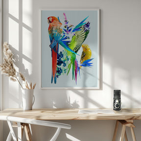 Birds of Paradise I Poster