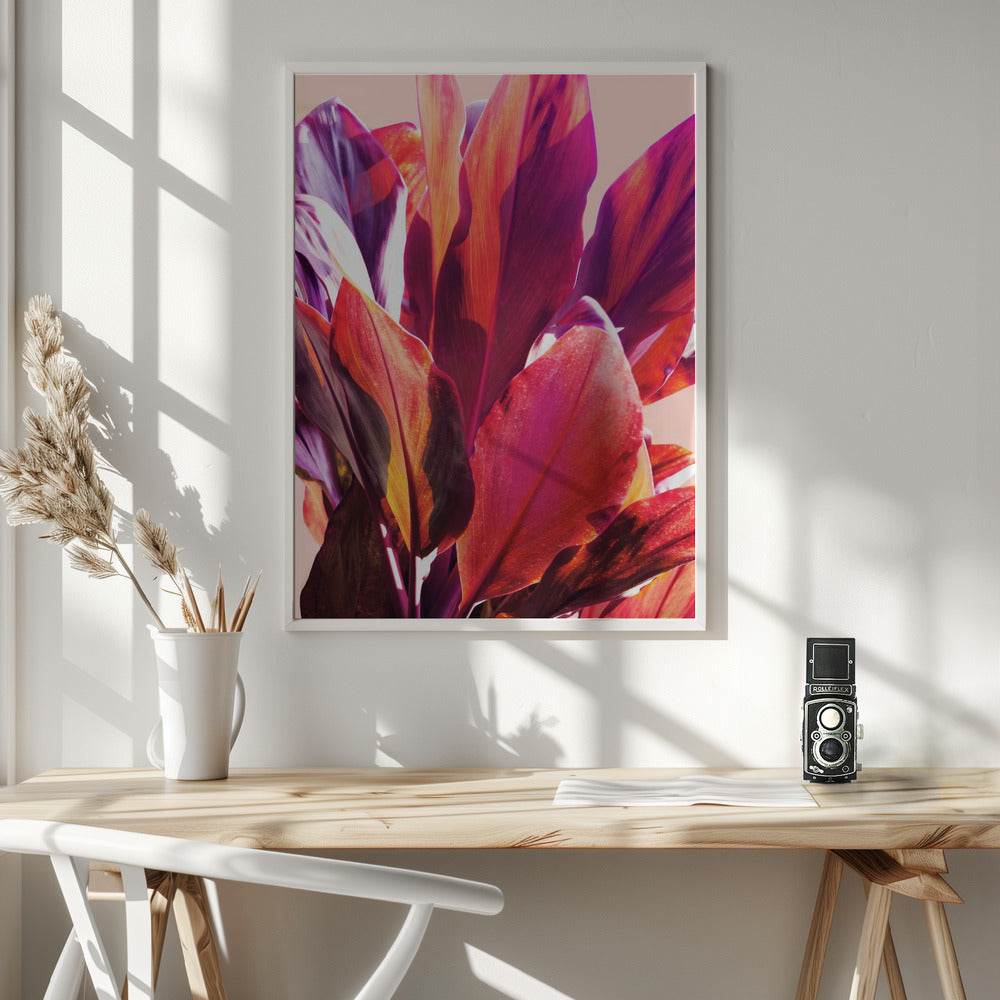 Fuchsia Leaves I Poster