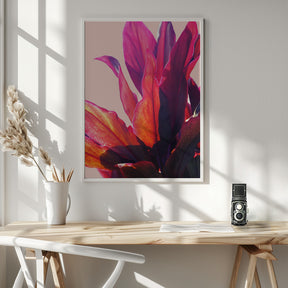 Fuchsia Leaves II Poster