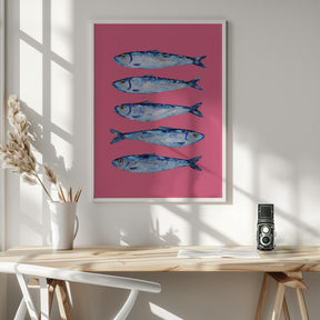 Sardines on Pink Poster