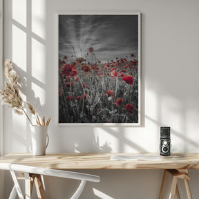 Gorgeous sunset in a poppy field | colorkey Poster