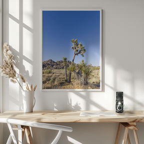 Idyllic Joshua Tree National Park Poster