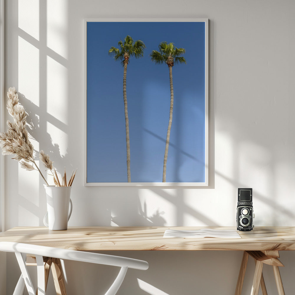 Idyllic Palm trees Poster