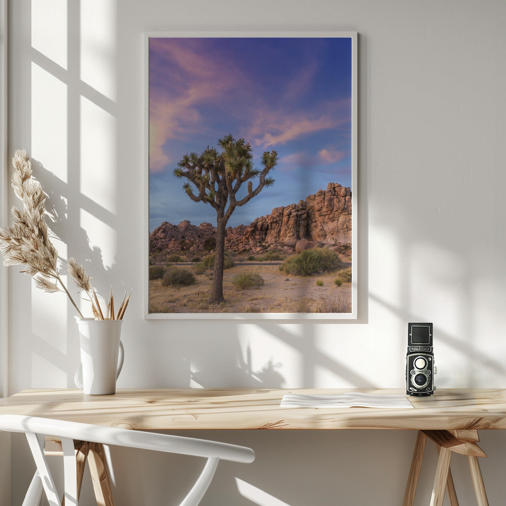 Joshua Tree Evening Atmosphere Poster