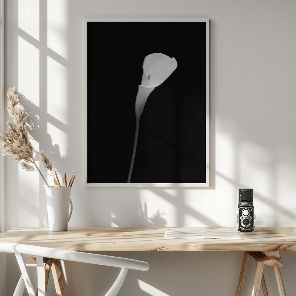 Calla | dark design Poster