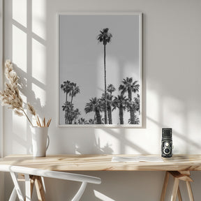 Palm Trees at the beach | monochrome Poster