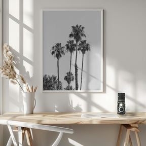 Palm trees | monochrome Poster