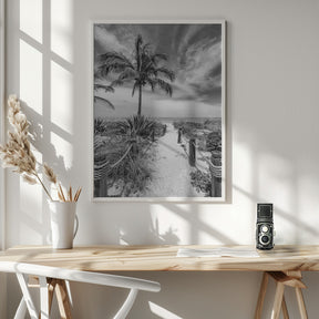 Path to the beach - monochrome Poster