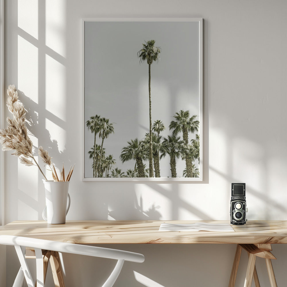 Palm Trees at the beach Poster