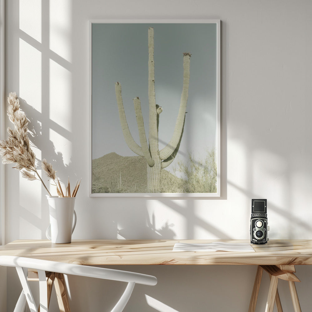 SAGUARO NATIONAL PARK Vintage Giant Saguaro Poster