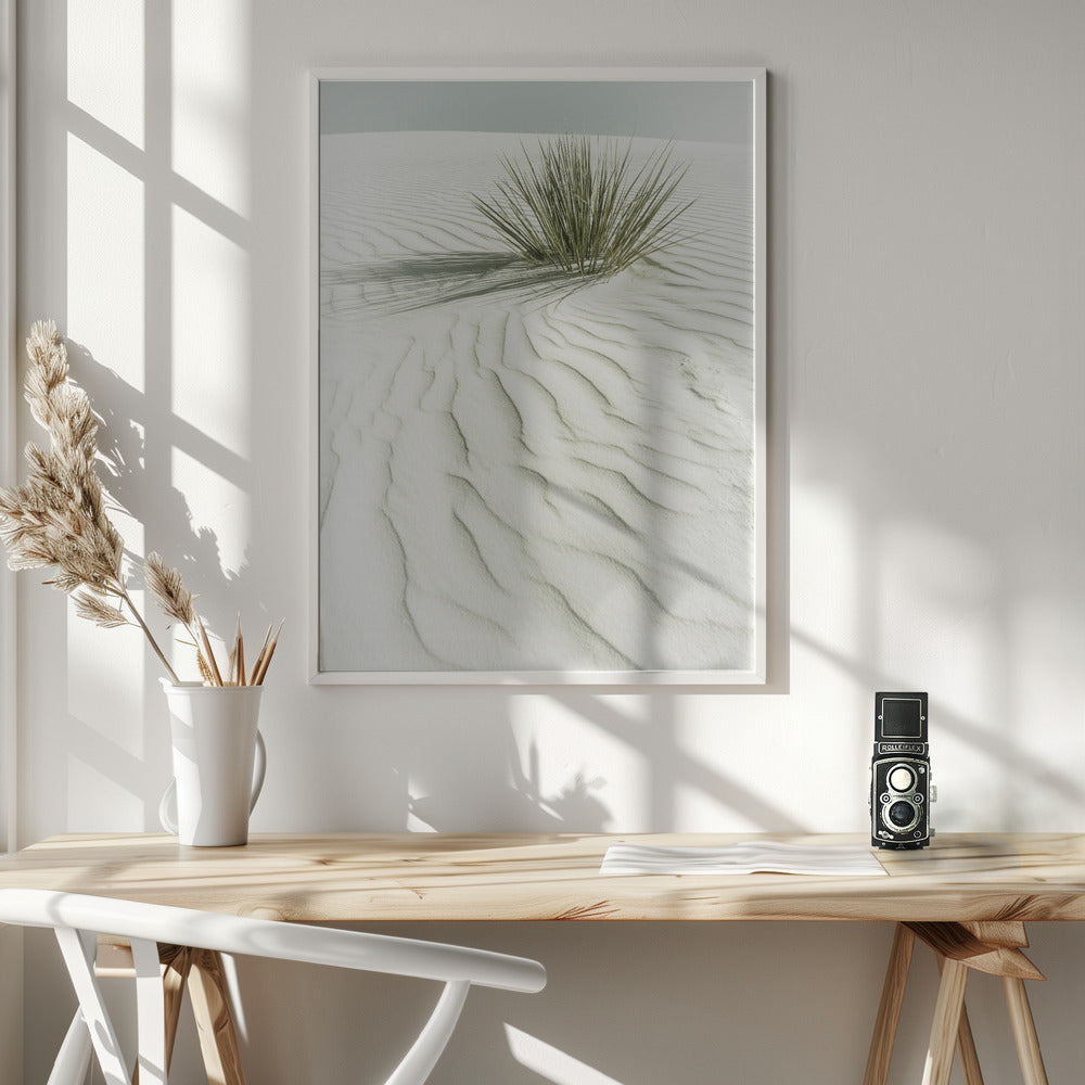 White Sands Scenery