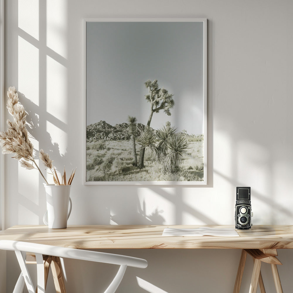 Joshua Tree National Park Vintage Impression Poster