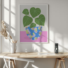 Plant in Patterned Pot Poster