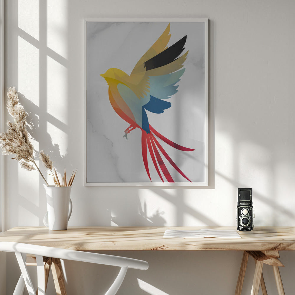 Colorful Bird Poster