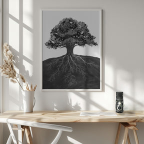 Rooted Poster