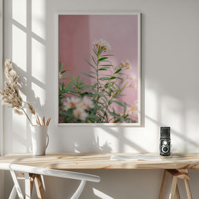 Soft greens and Pink | Botanical Oaxaca Mexico Poster