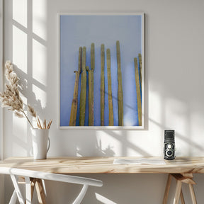 Tall Cacti on Blue | Oaxaca Mexico Travel Poster