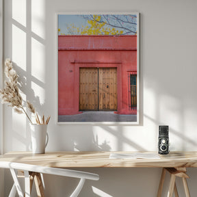 The Wooden Door | Botanical Oaxaca Mexico Poster