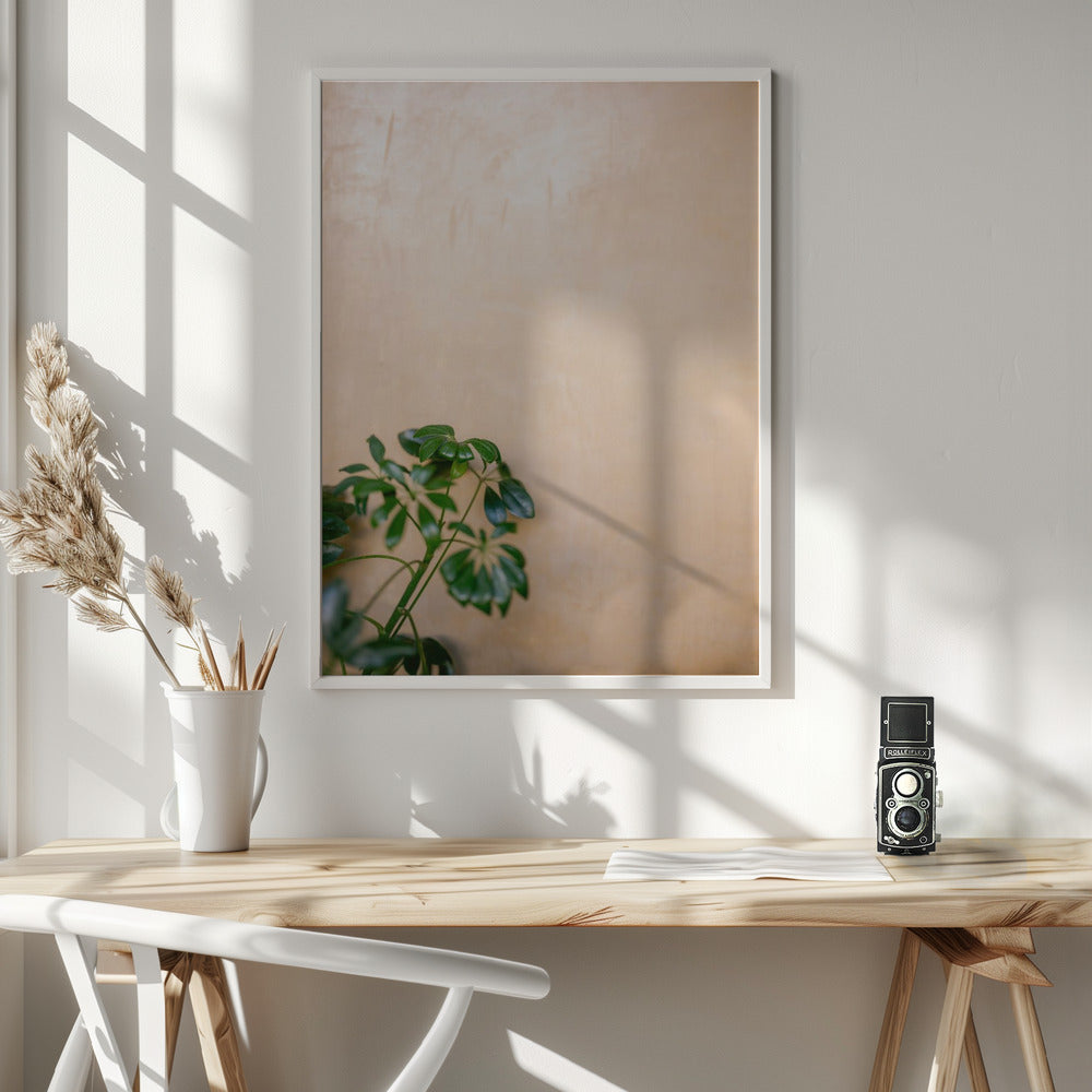 Botanical Oaxaca Scene | Mexico travel photography Poster