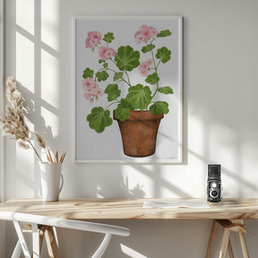 Pink Geranium Poster