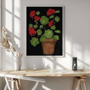 Red Geranium Poster