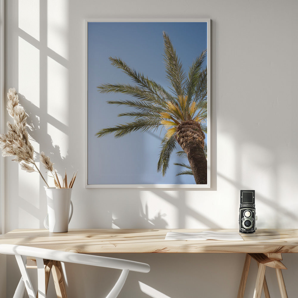 Vejer de La Frontera Palm Tree Poster