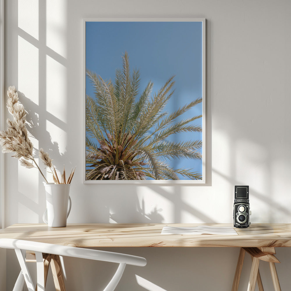 Moroccan Coast Palm Tree Poster