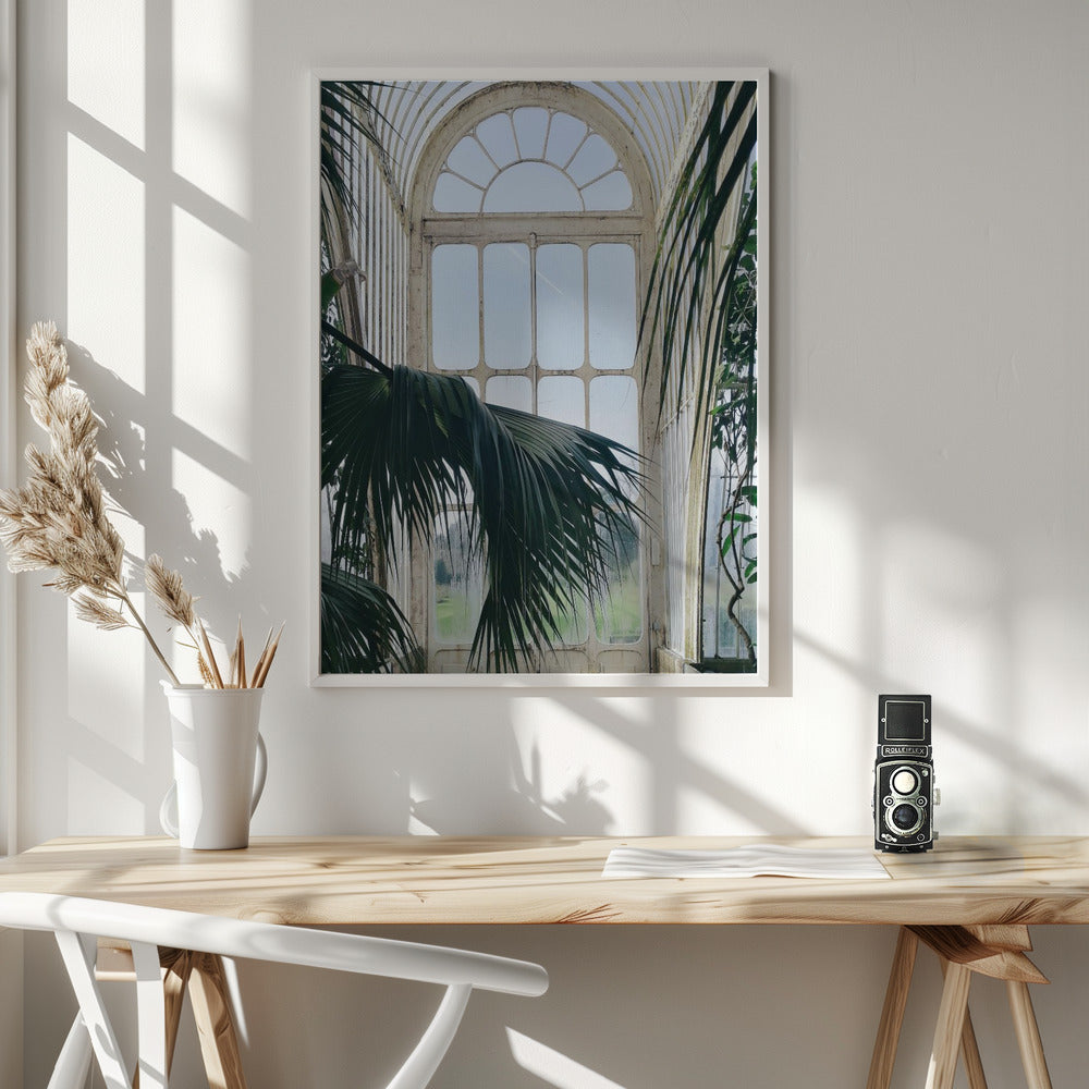 Palm House Windows Poster