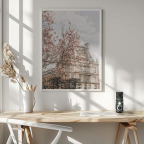 Magnoliaparis Ratioiso Poster