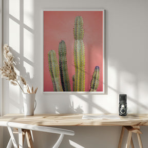 Pretty Pink Cactus Marrakech Poster