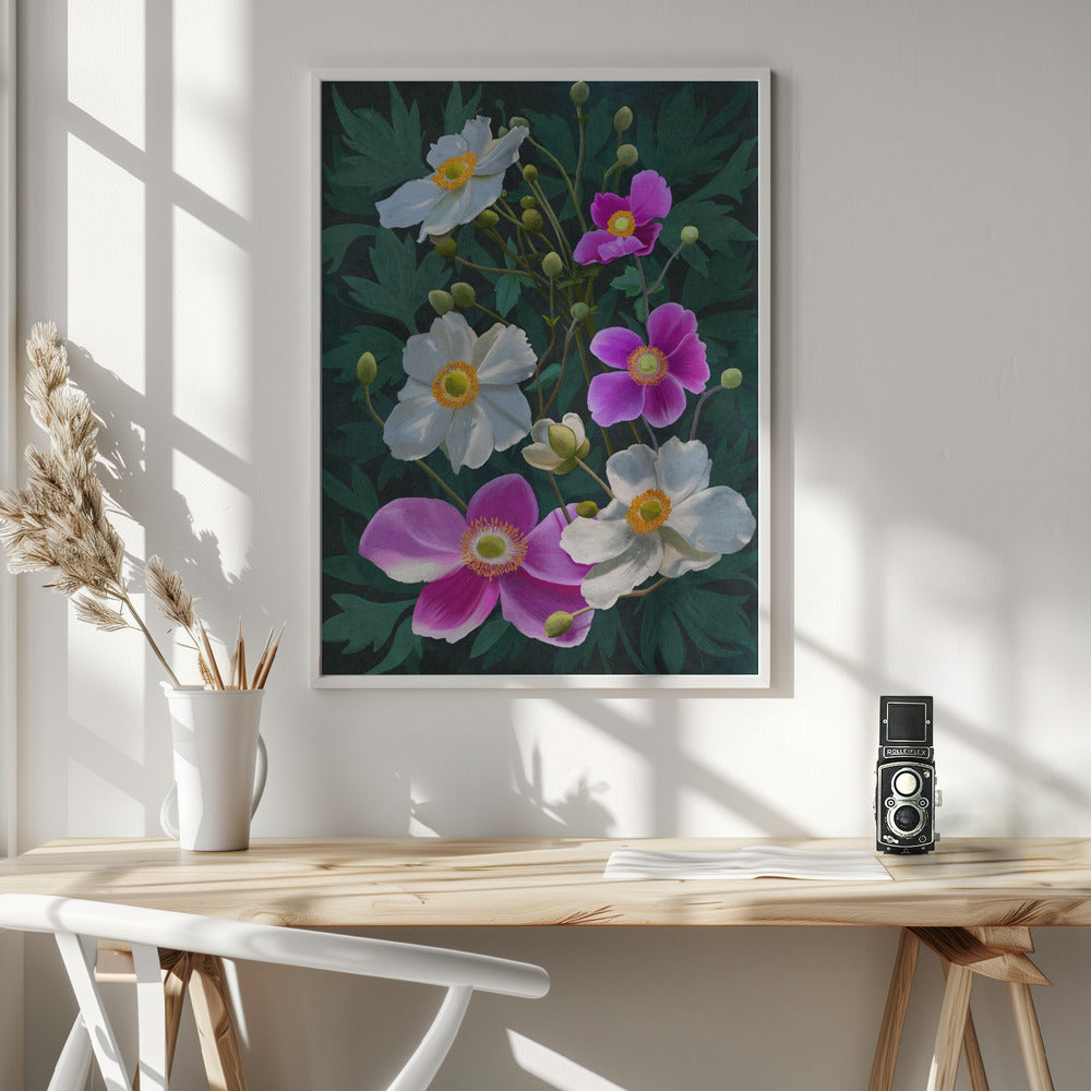 Anemone Flowers Poster