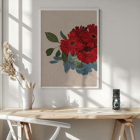 Gerbera Daisy Poster