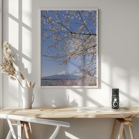 Charming view of Mount Fuji with cherry blossoms	 Poster