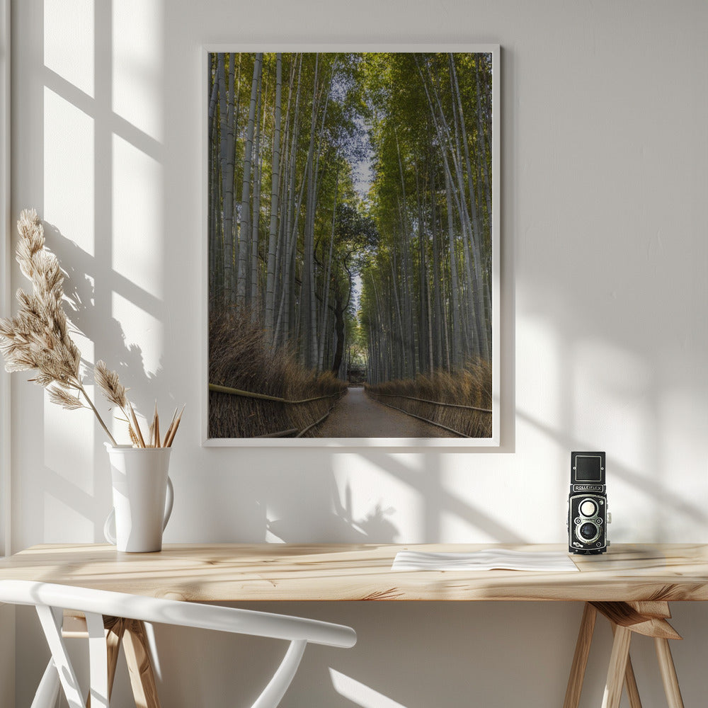 Mighty Arashiyama bamboo forest Poster