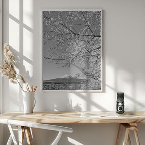 Charming view of Mount Fuji with cherry blossoms - monochrome Poster