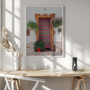 Pink Door Poster