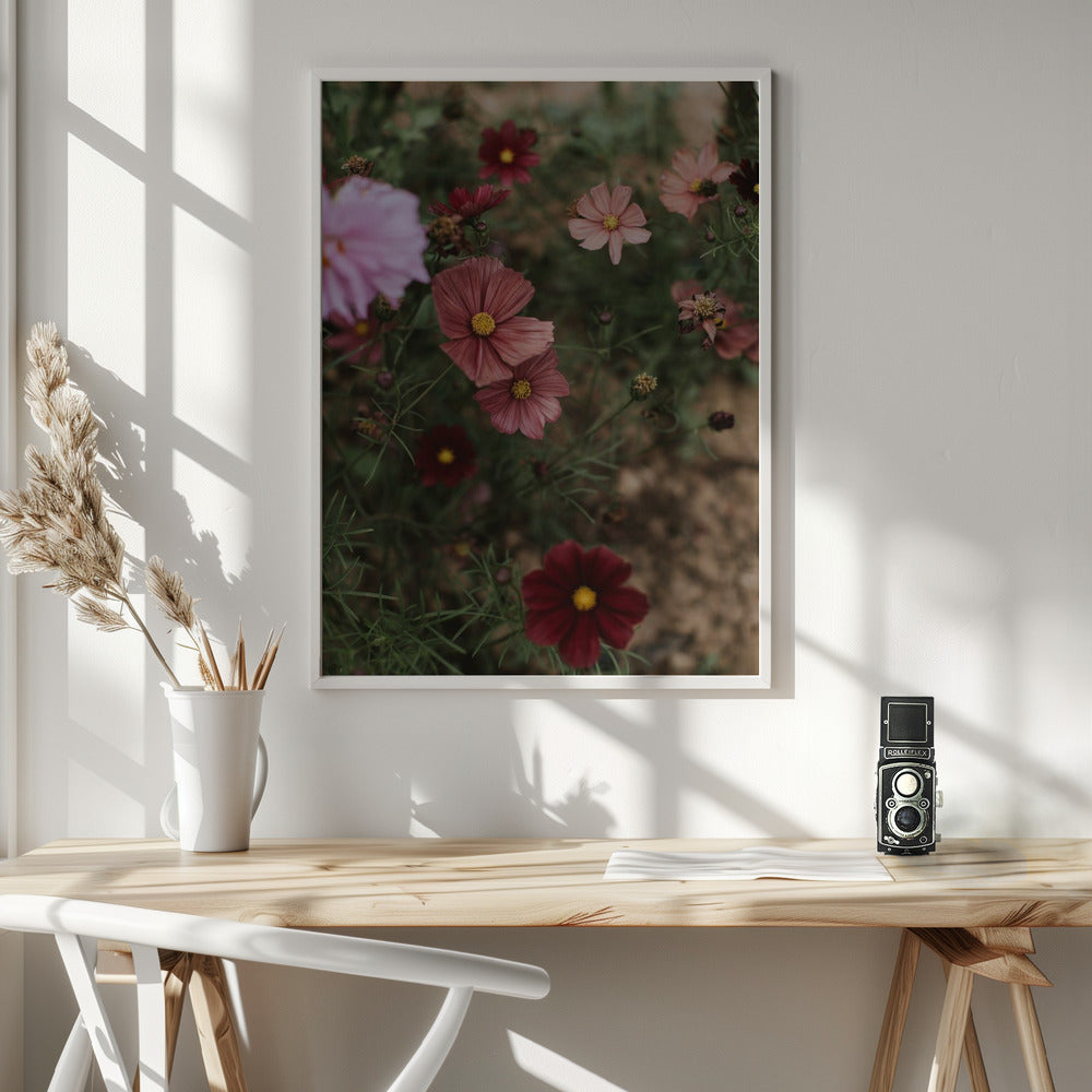 Pink Coral Flowers Poster