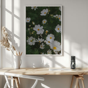 White Flowers Poster