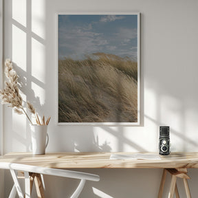 Dunes Poster