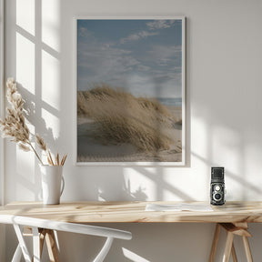 Summer Dunes Poster